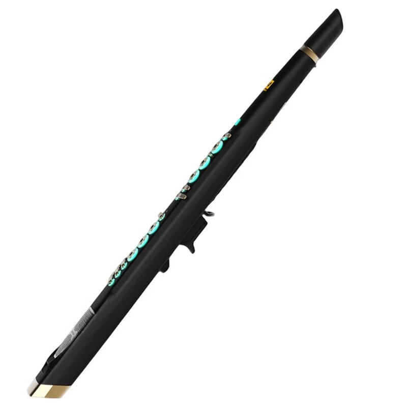 Musical Instrument Ending In A - C20 instrumen musik elektrik cerdas kelas