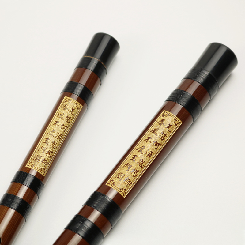 Profesional Bermain Pahit Seru - Musical Instrument Ending In A ulasan dan harga