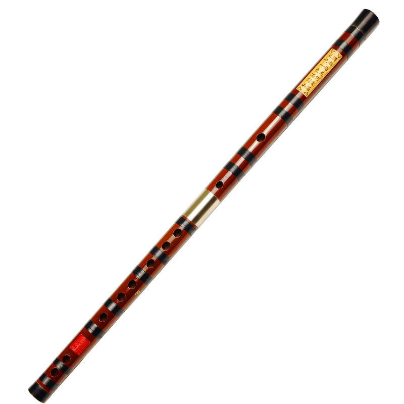 Profesional Bermain Pahit Seru - Musical Instrument Ending In A ulasan dan harga