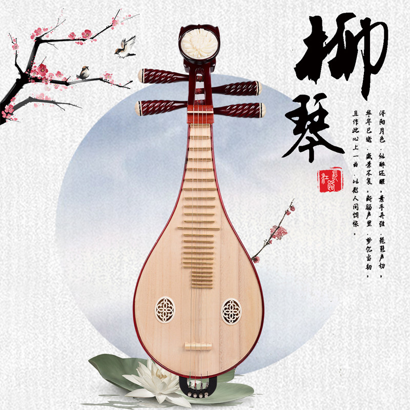 Performa Profesional & Ujian K - Musical Instrument With A ulasan dan harga